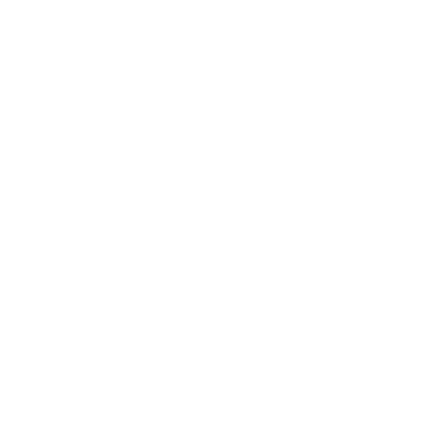 Deck-O-Raiders Logo